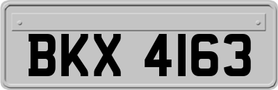 BKX4163