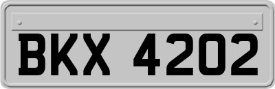 BKX4202