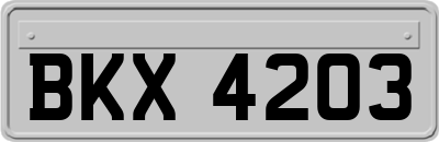 BKX4203