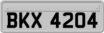 BKX4204