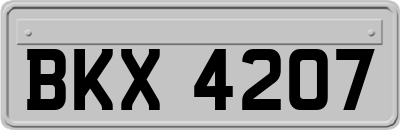 BKX4207