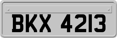 BKX4213