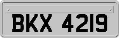 BKX4219