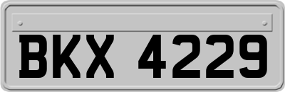 BKX4229