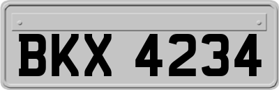 BKX4234
