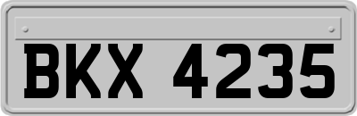BKX4235
