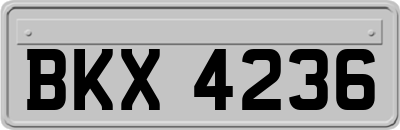 BKX4236