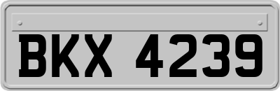 BKX4239
