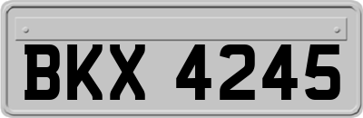 BKX4245