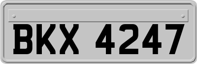 BKX4247