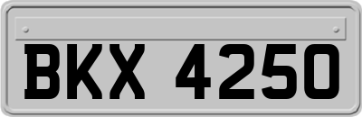 BKX4250