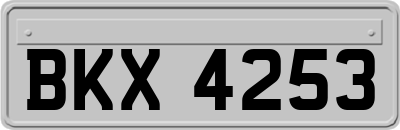 BKX4253