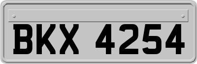 BKX4254