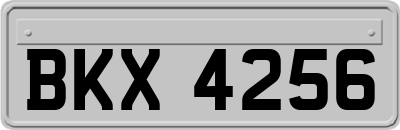 BKX4256
