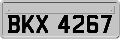 BKX4267