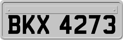 BKX4273