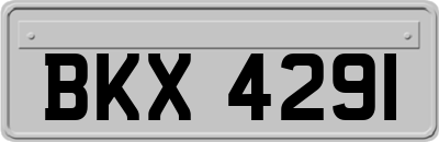 BKX4291