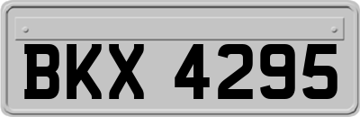 BKX4295