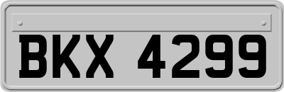 BKX4299