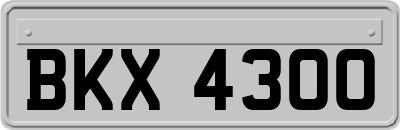 BKX4300