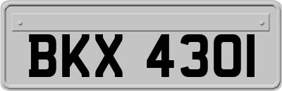 BKX4301