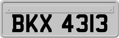 BKX4313