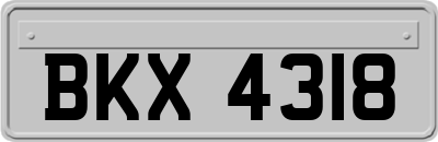 BKX4318