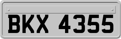 BKX4355
