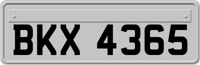 BKX4365