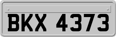 BKX4373