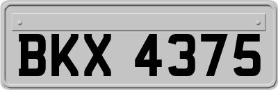 BKX4375