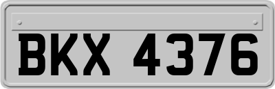BKX4376