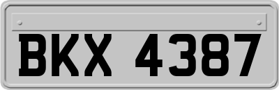 BKX4387