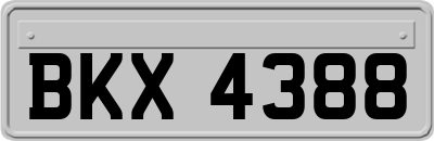 BKX4388