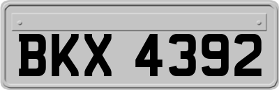 BKX4392