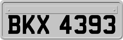 BKX4393