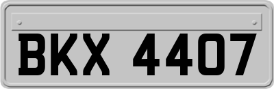 BKX4407