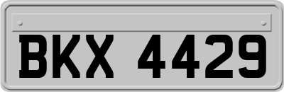 BKX4429