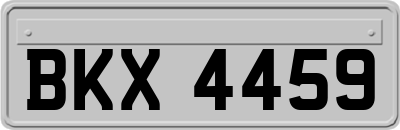 BKX4459