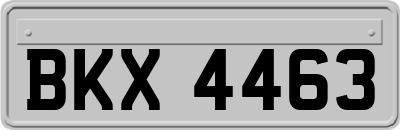 BKX4463
