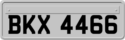 BKX4466