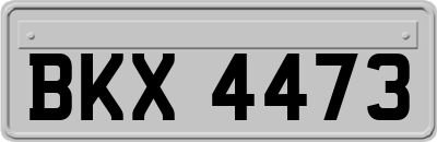 BKX4473