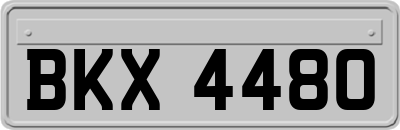BKX4480