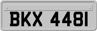 BKX4481