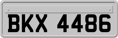 BKX4486