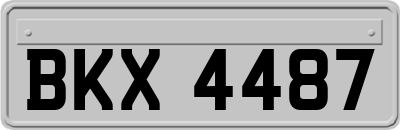 BKX4487