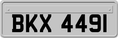 BKX4491