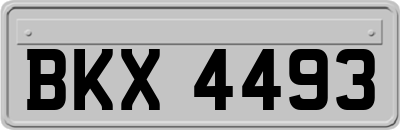 BKX4493