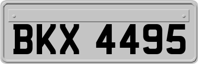 BKX4495