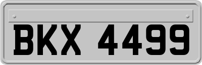 BKX4499